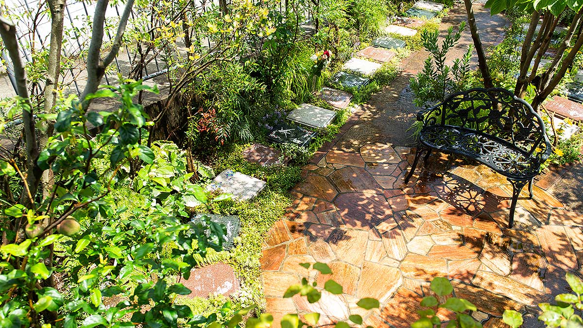 木立に囲まれた樹木葬墓地の散策路と石畳の通路