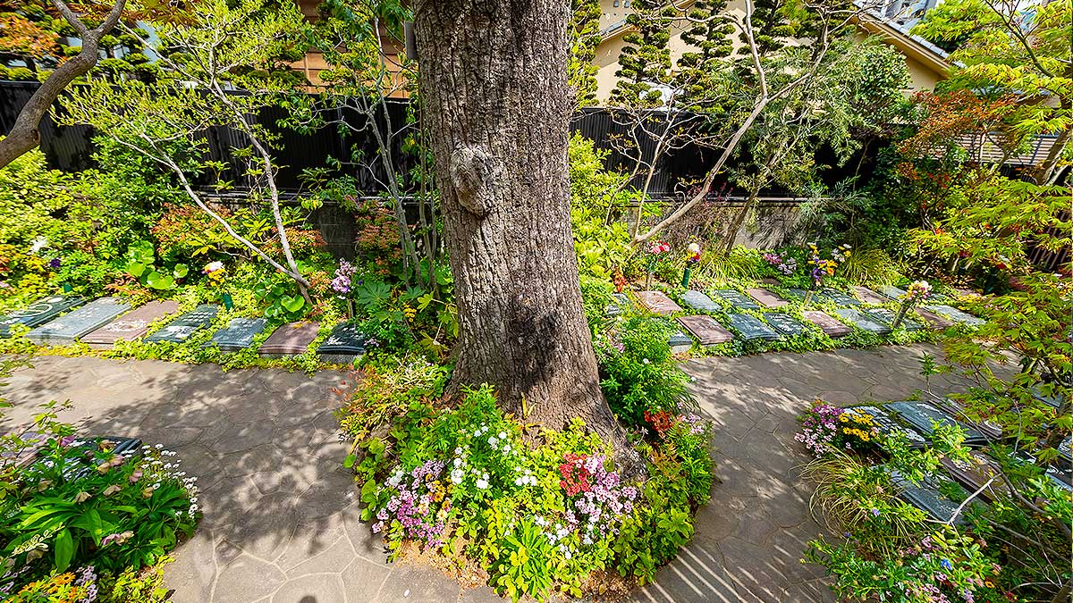 大きな樹木を中心に配置された樹木葬墓地と周囲のプレート墓碑