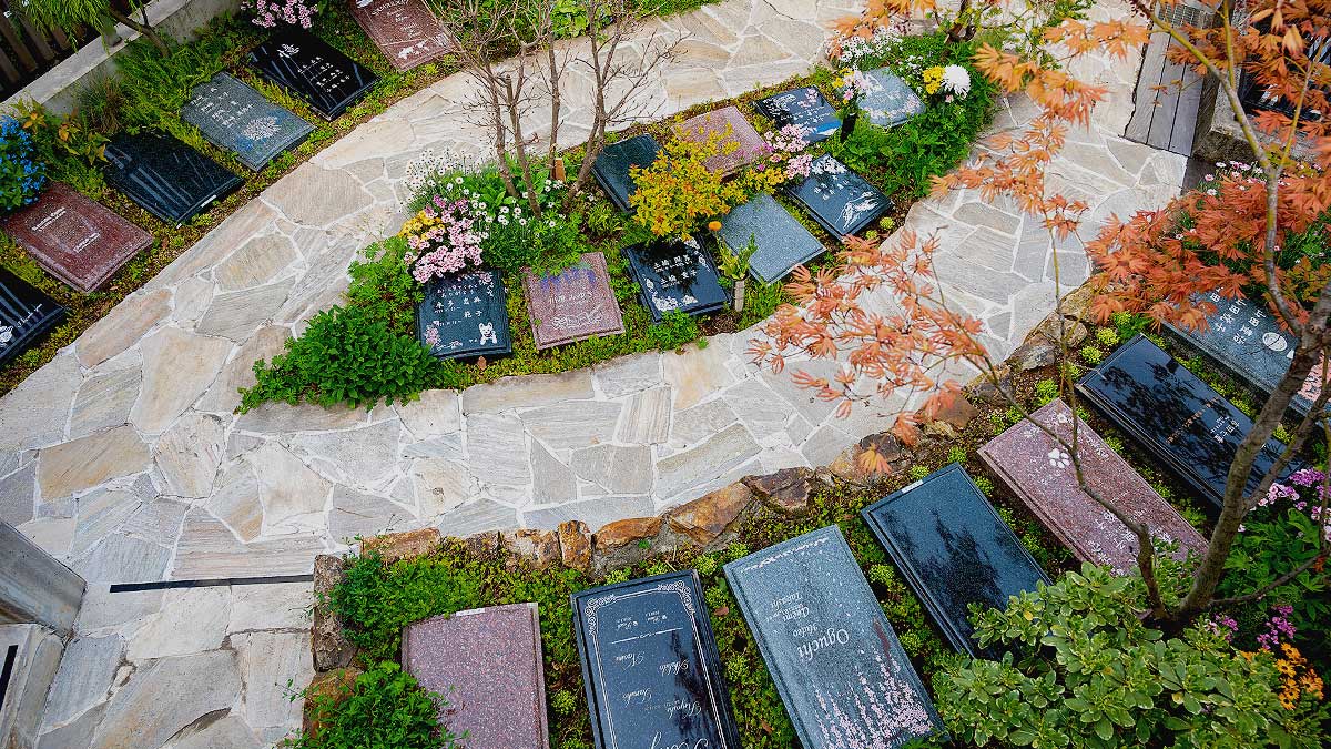 円形に整備された樹木葬墓地の区画と植栽、石貼りの参道