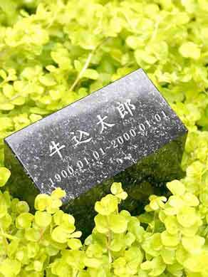 1人用区画 樹木葬墓地「縁」の写真