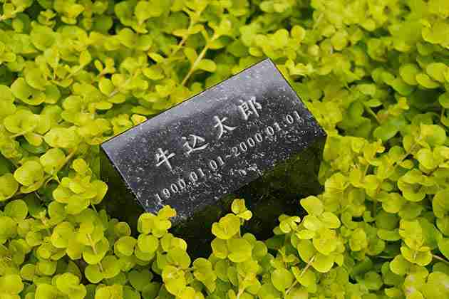 縁（1人用）写真1